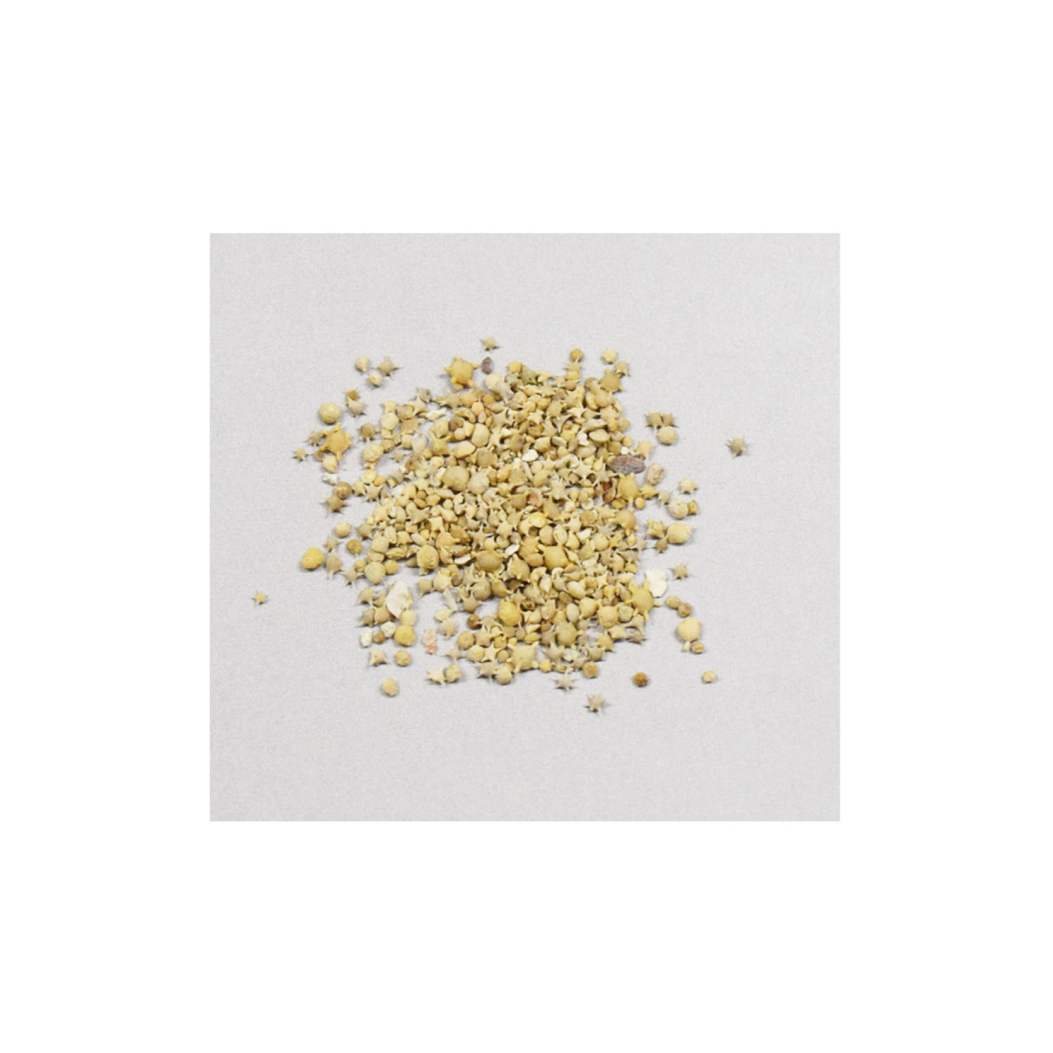 starsand-RCH299.jpg