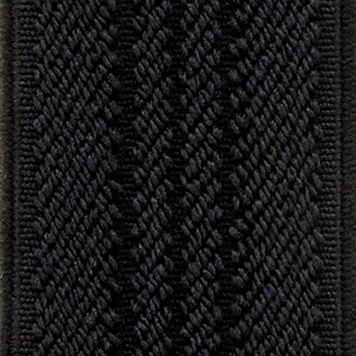 SUN40-91_003.jpg