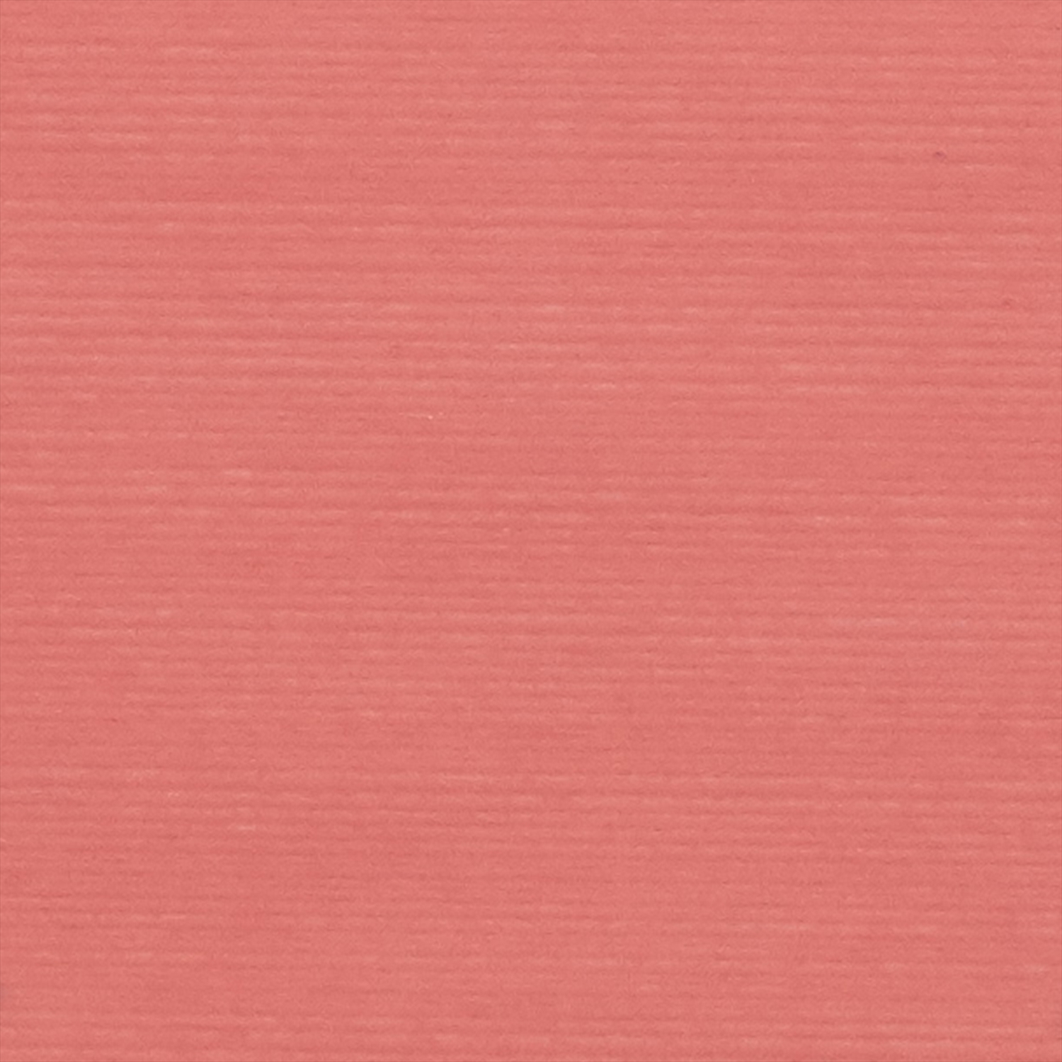 SUN60-40_003.JPG