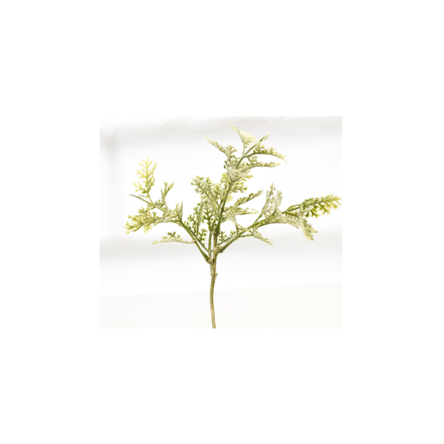green_19.jpg