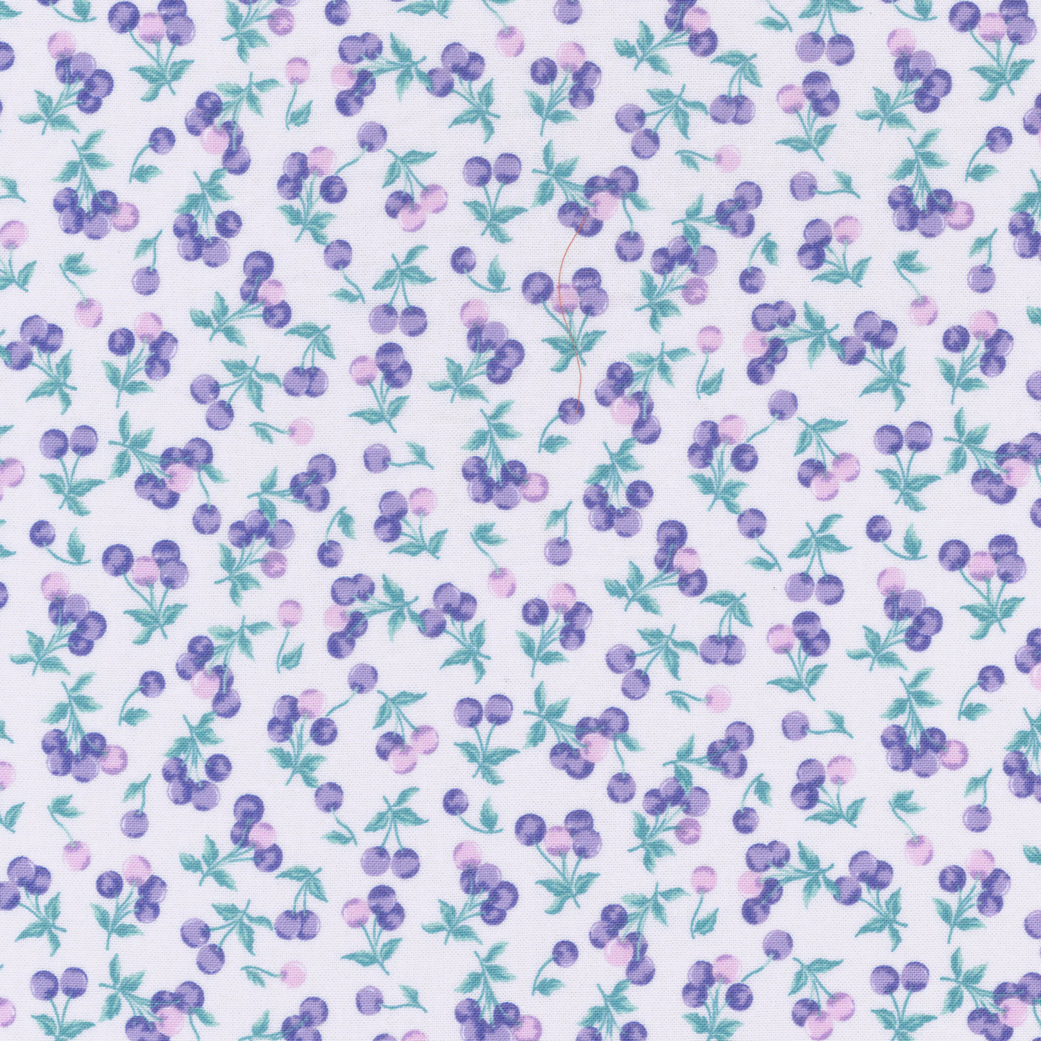 imaf-13-003-BL.jpg