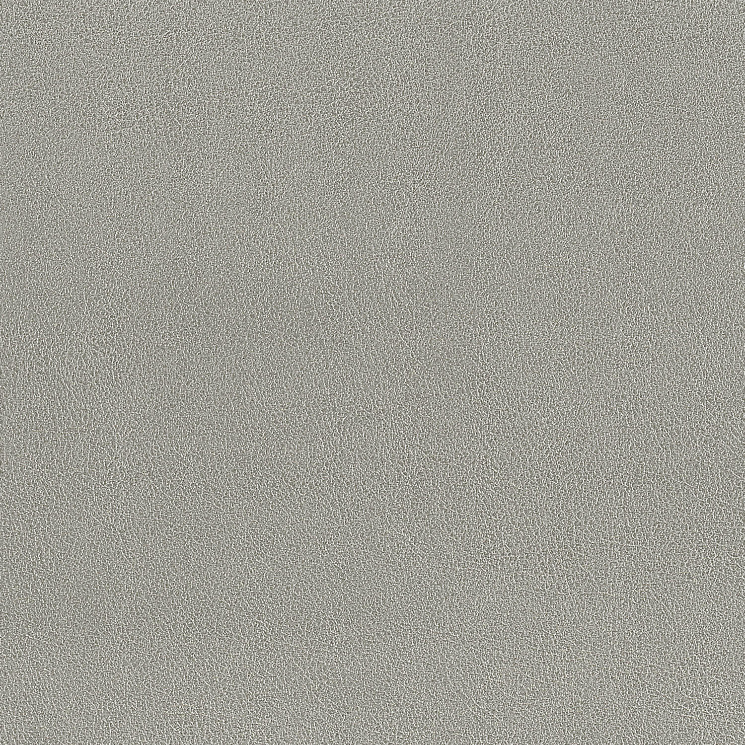 hmf-09-003-S.jpg