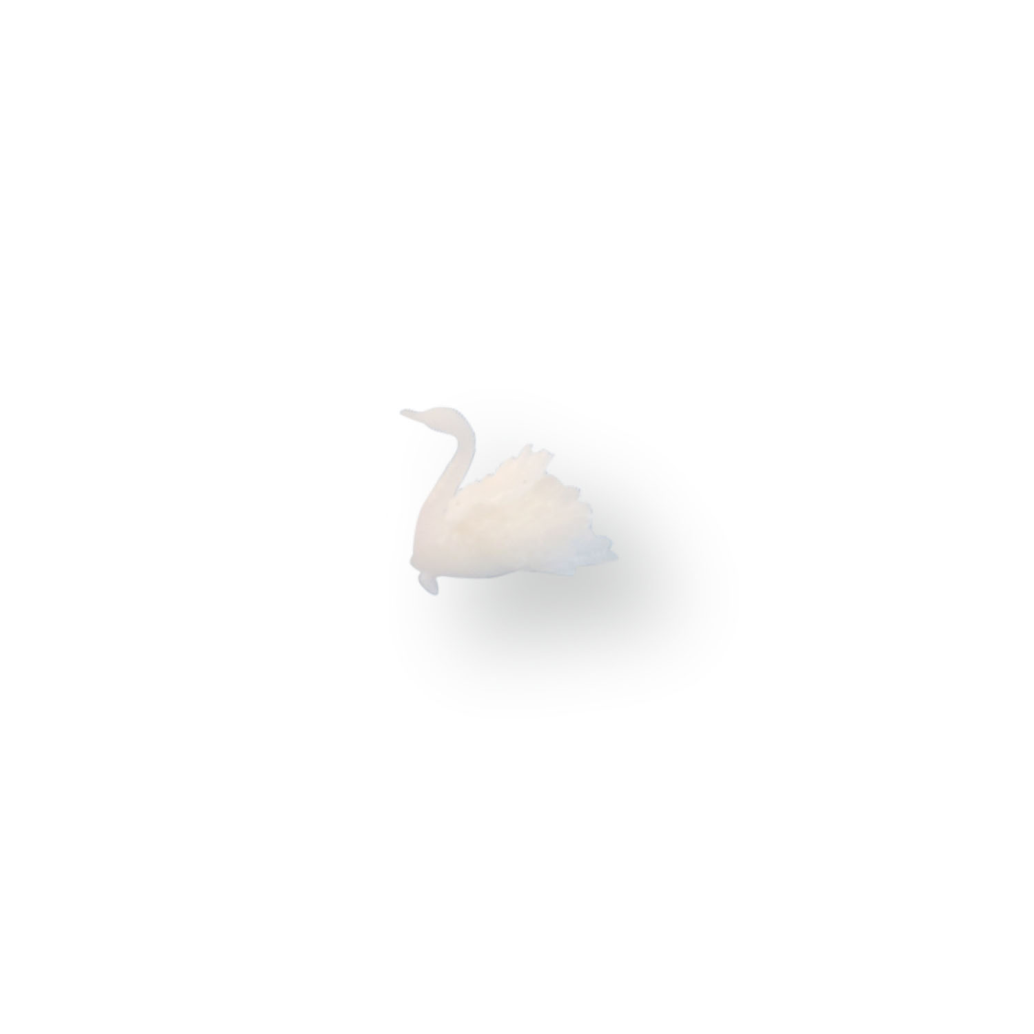 miniature_swan_S.jpg