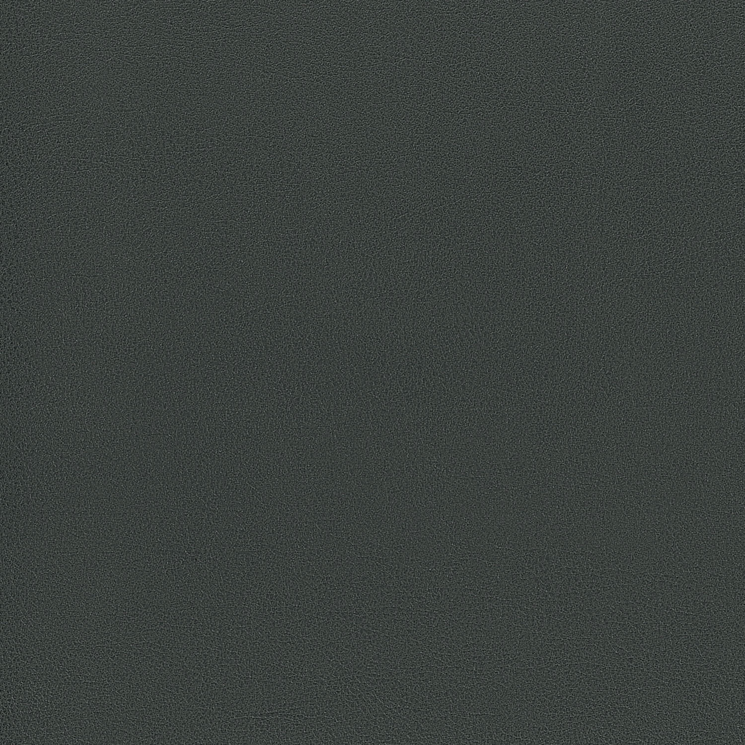 hmf-09-003-GRY.jpg