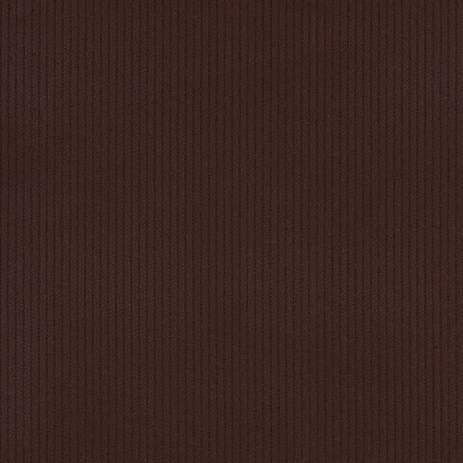 kof-25-003-BR.jpg