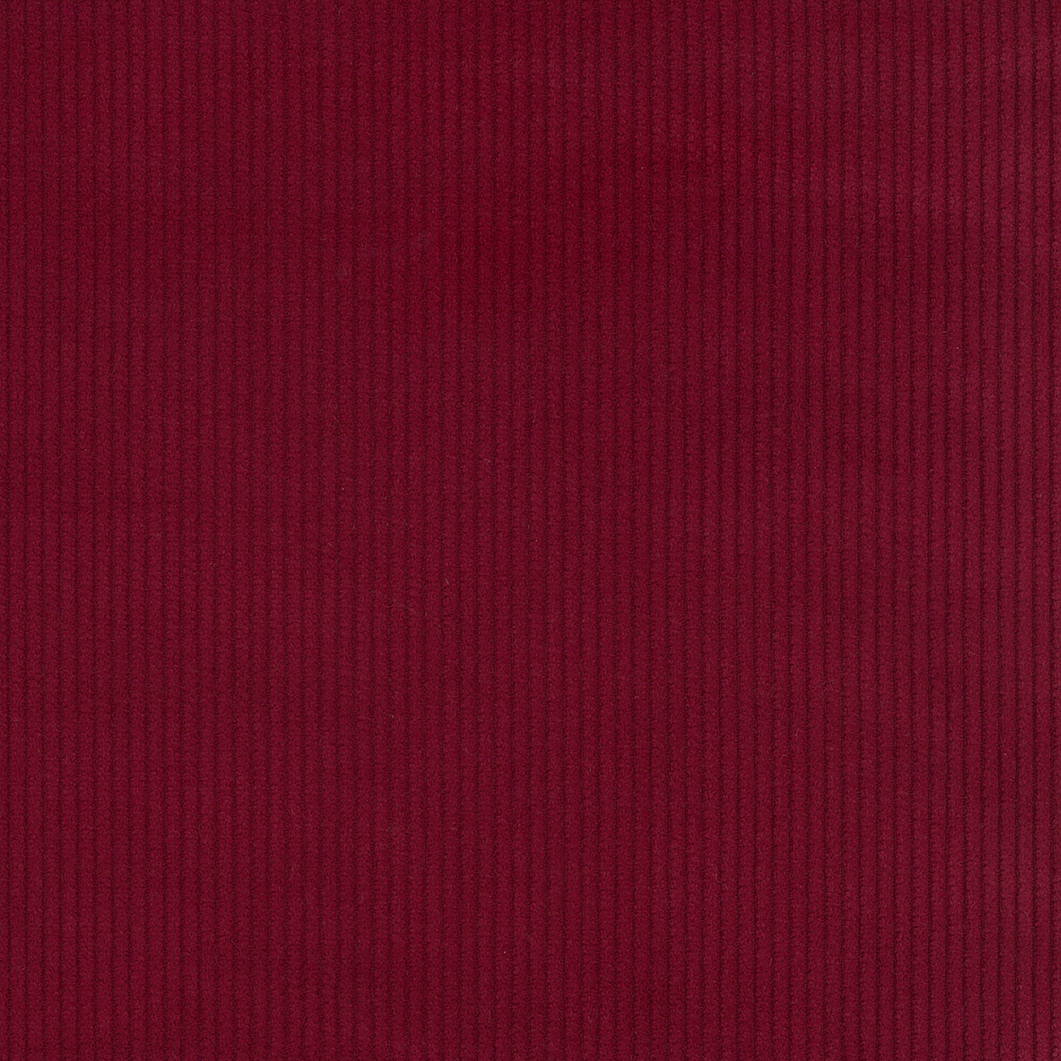 kof-25-003-BDR.jpg