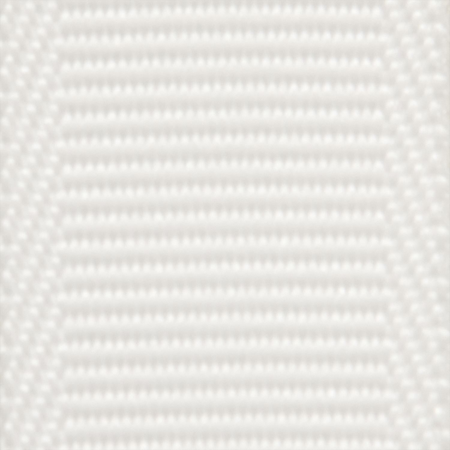 SUN50-10_003.JPG