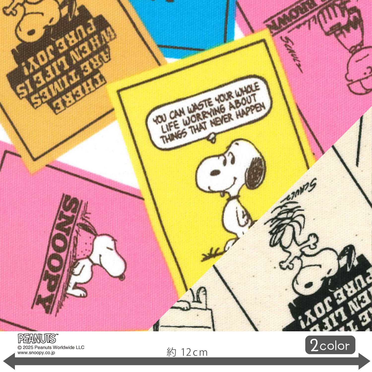 pn-sncard_01.jpg