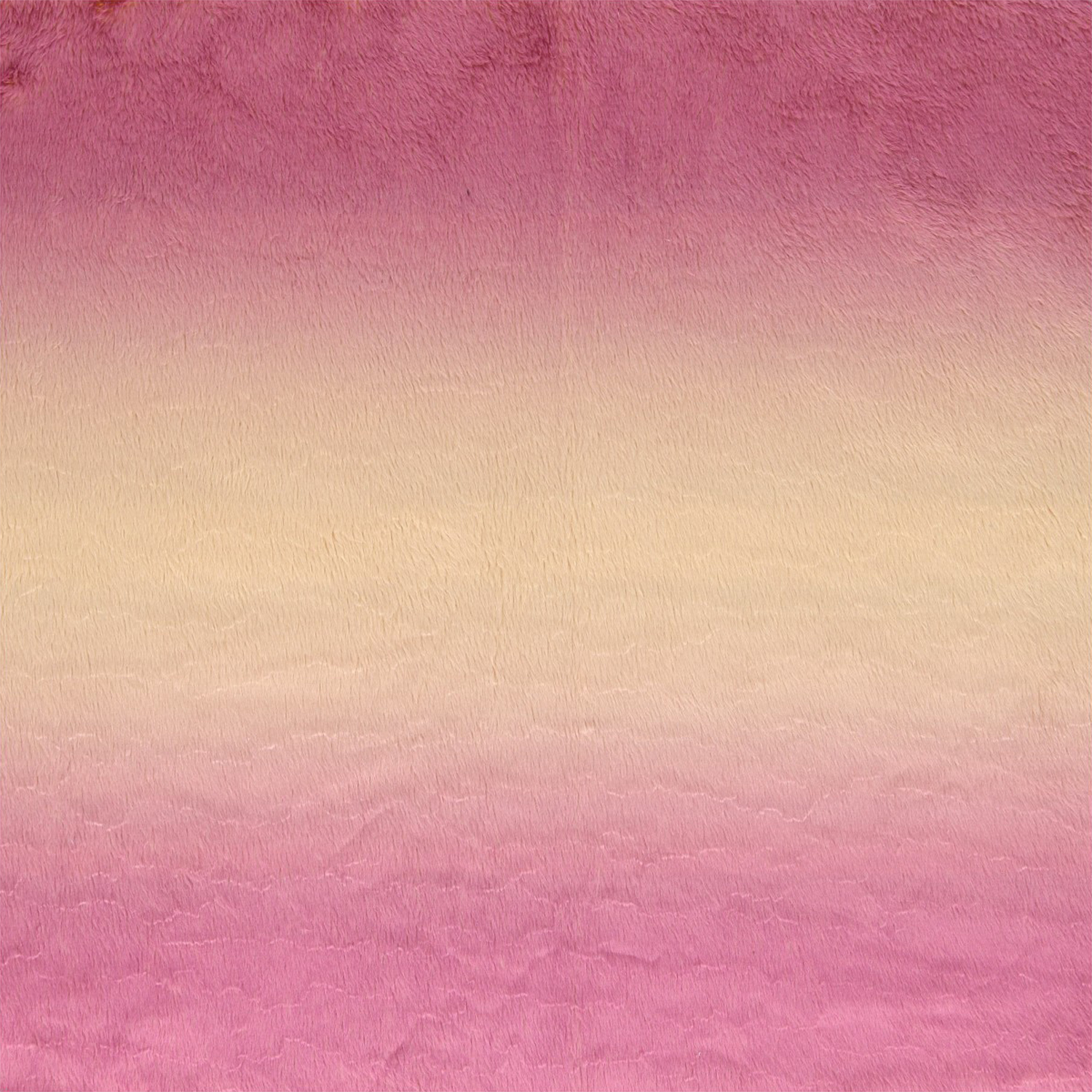 NUIF-04GC_BEP_03.jpg