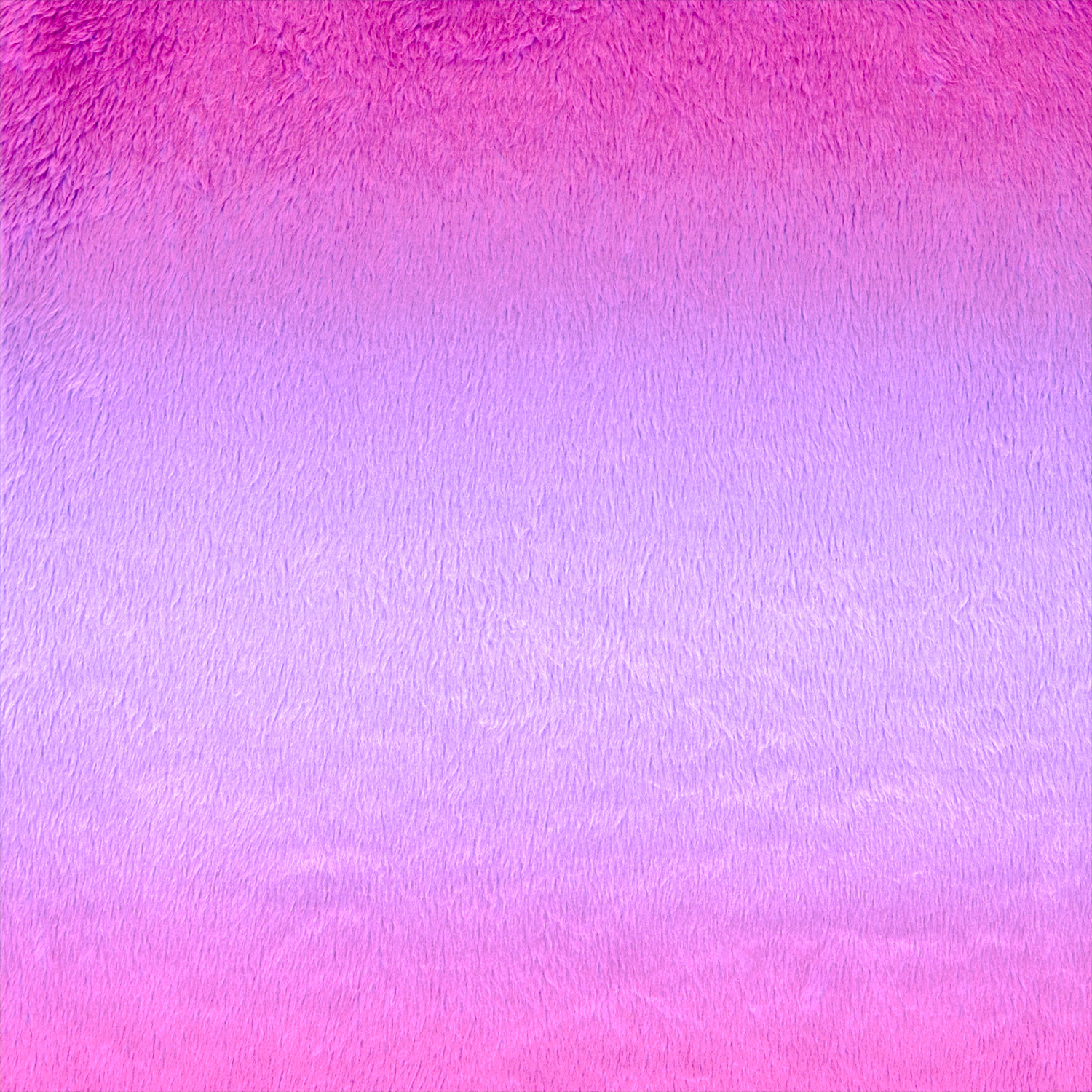 NUIF-04GC_LLP_03.jpg
