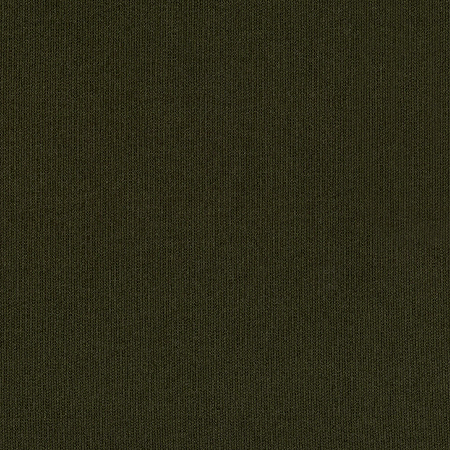 hmf-04-003-G.jpg