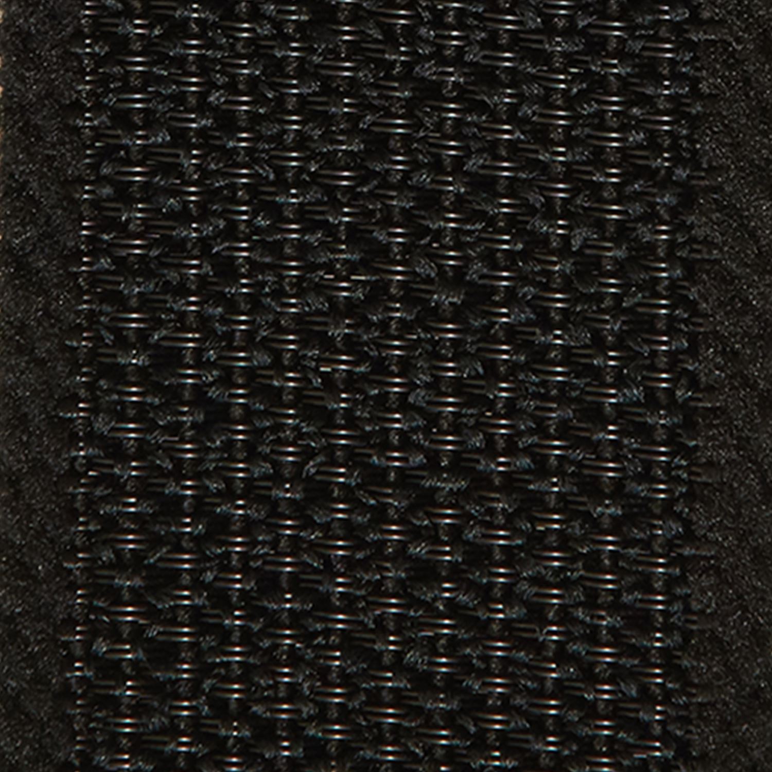 SUN52-35_003.JPG