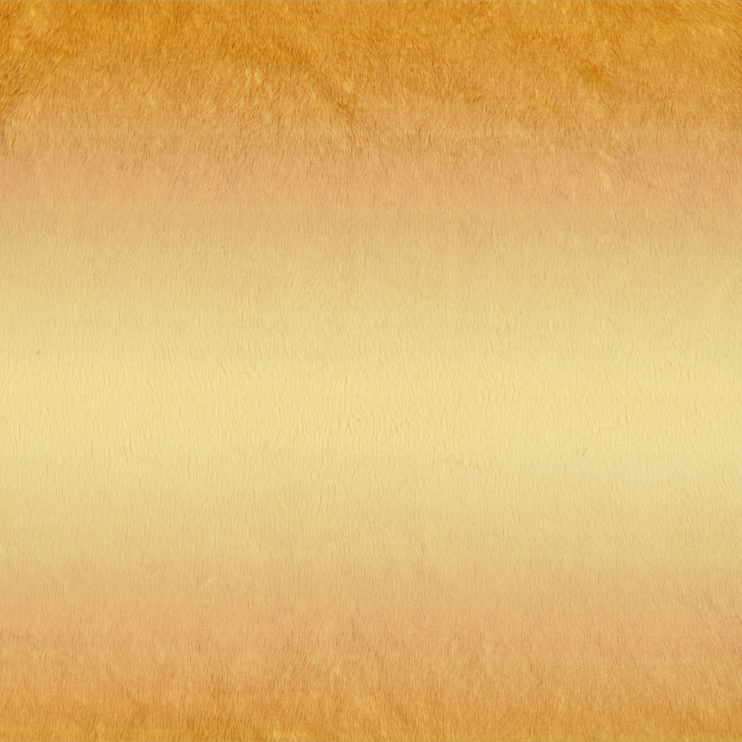NUIF-04GC_GLBD_03.jpg