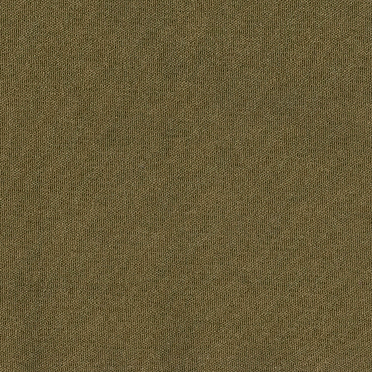 hmf-04-003-K.jpg