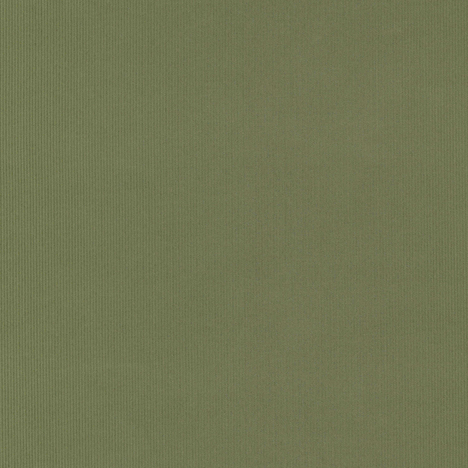 kof-14-003-SAG.jpg