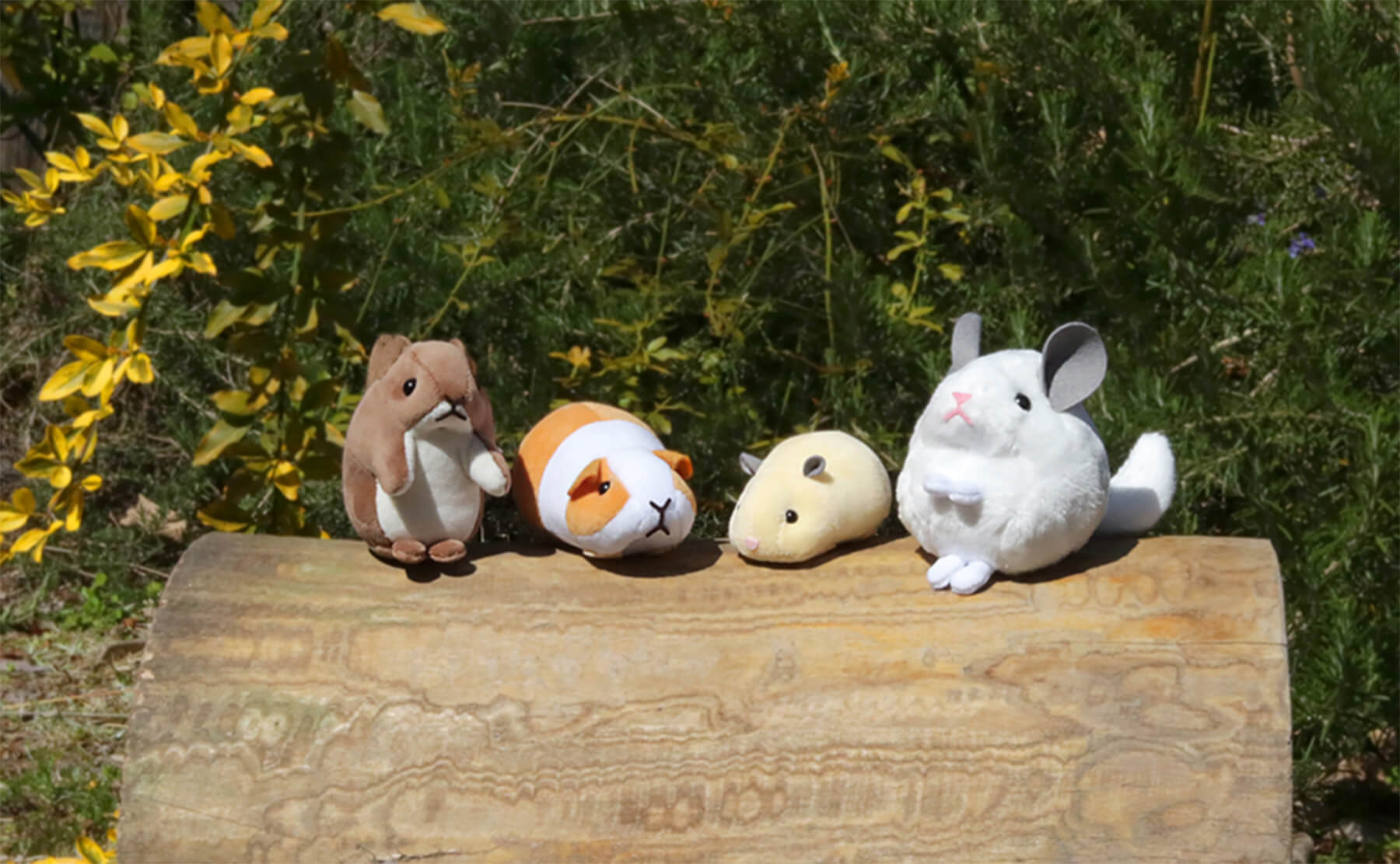 ばんばぱえりあさんぬいぐるみ作品 左から「リス、モルモット、ハムスター、チンチラ」（キット仕様）